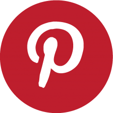 PinterestIcon